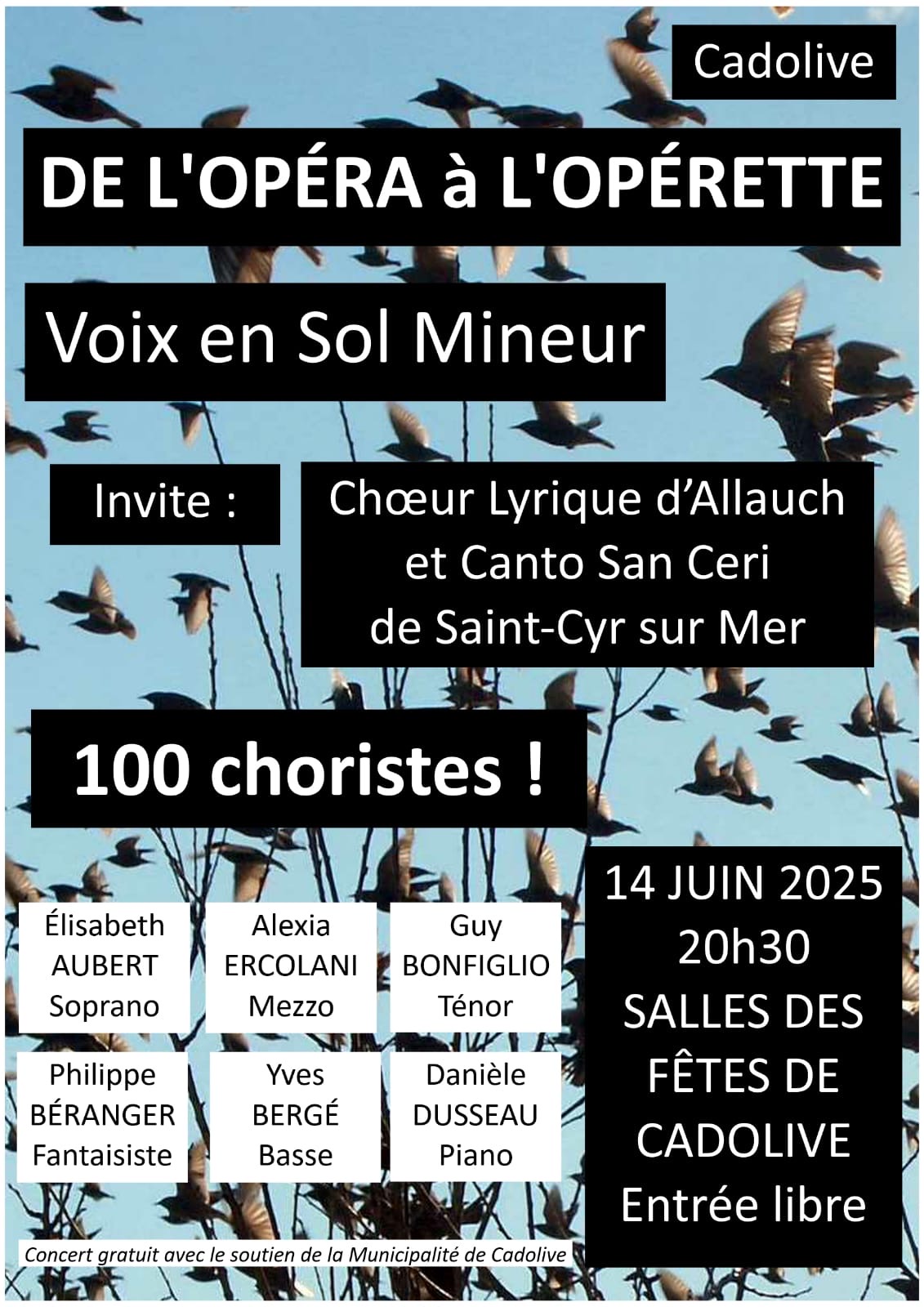 DE L OPERA A L OPERETTE VSM