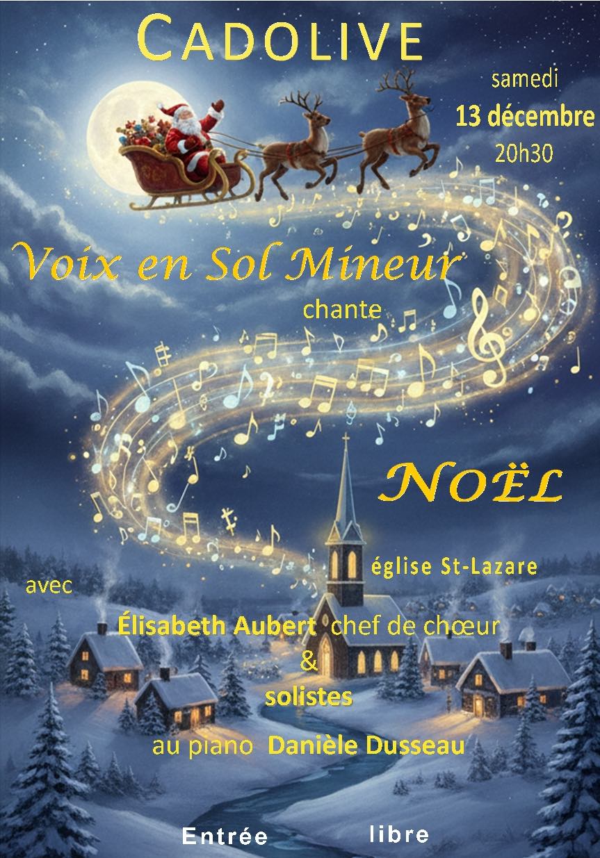 VSM CONCERT NOEL 2025